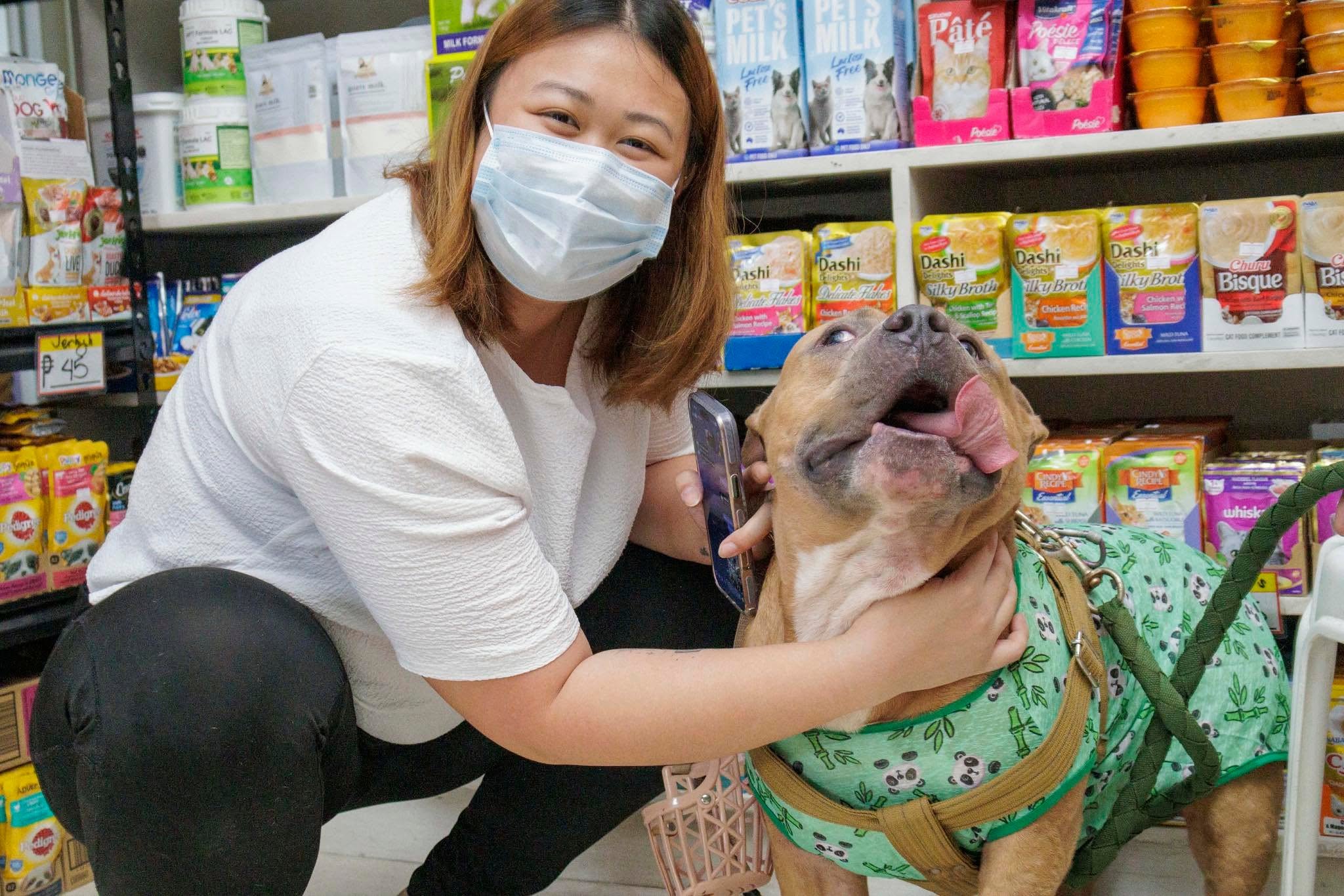 Happy furbaby dog at Gabieta Vet Clinic