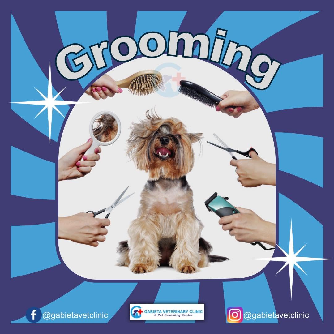 Pet Grooming