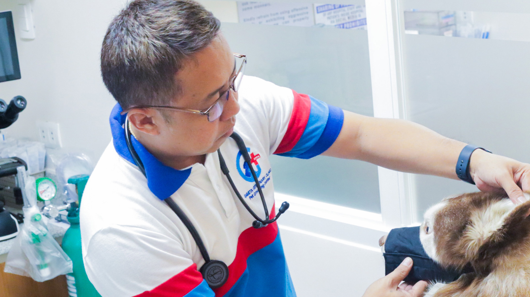 Gabieta veterinarian examining a dog during a wellness checkup